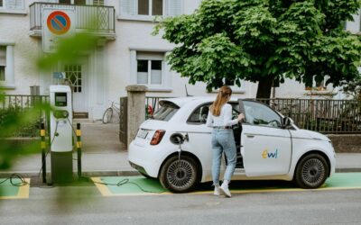 Pilotprojekt Grüne Zonen in Luzern